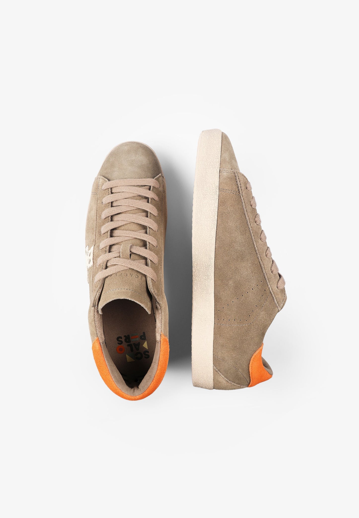 TENIS BAJAS ANTE CALAVERA