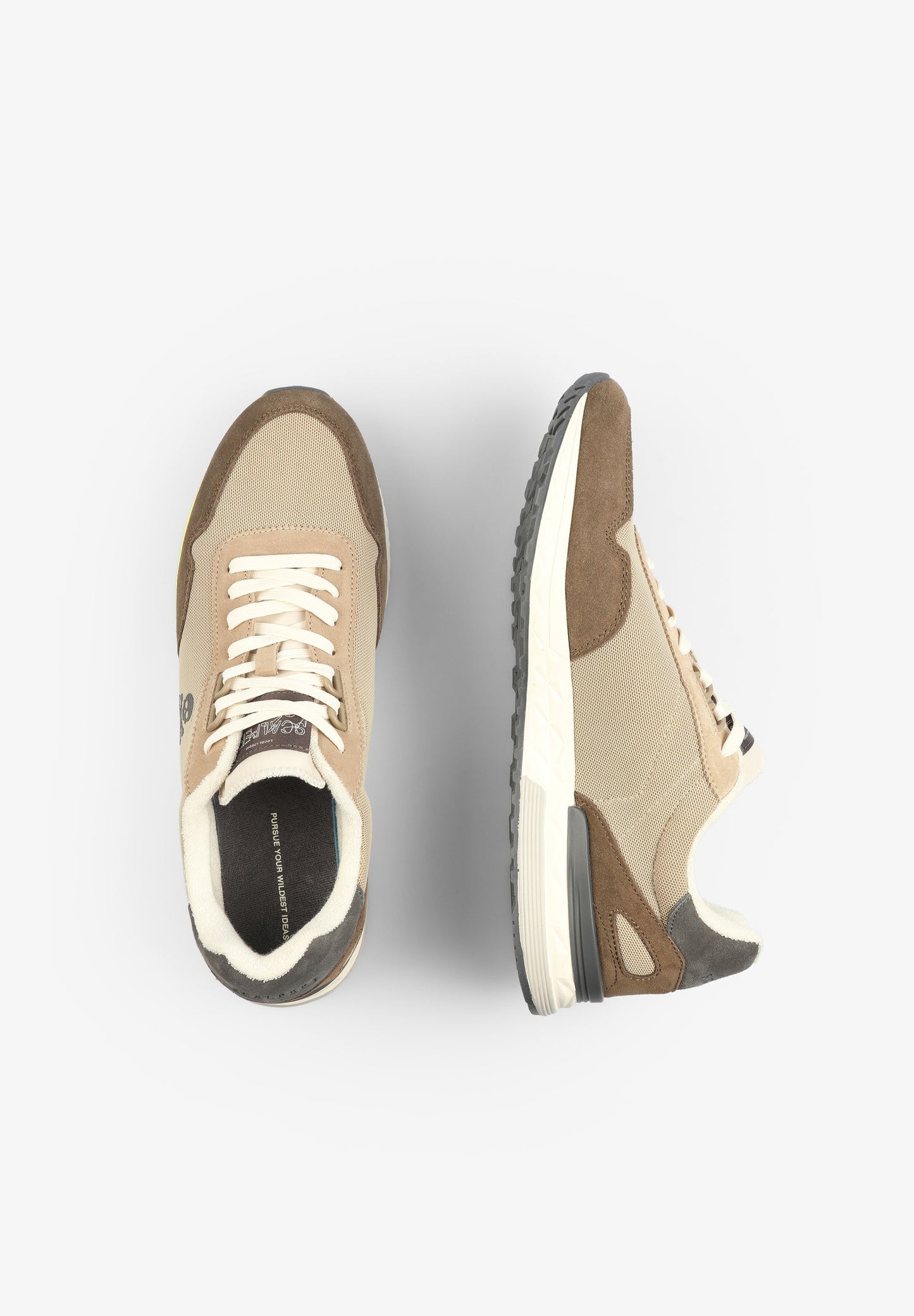 TENIS CALAVERA LATERAL