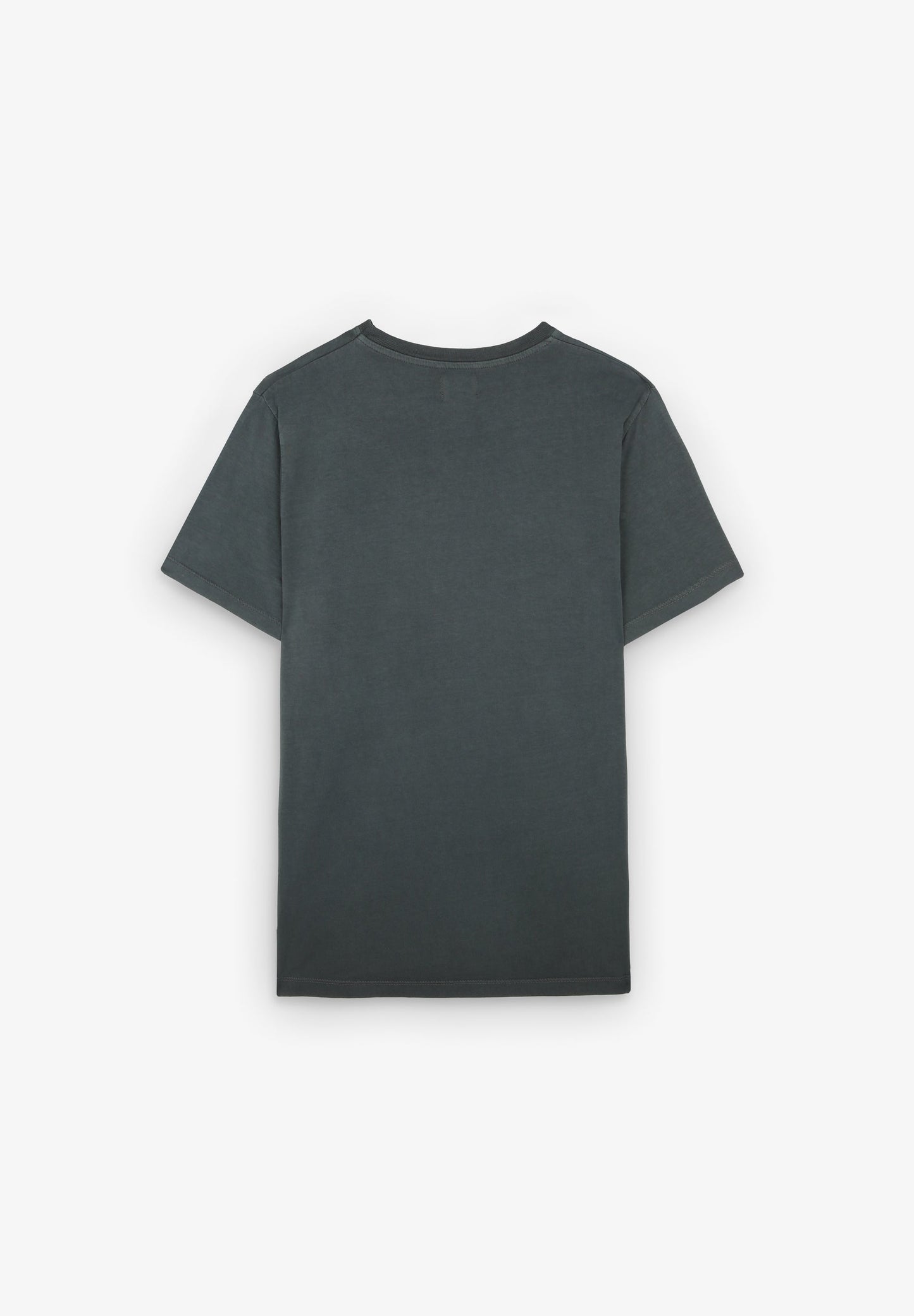 CAMISETA BÁSICA CALAVERA