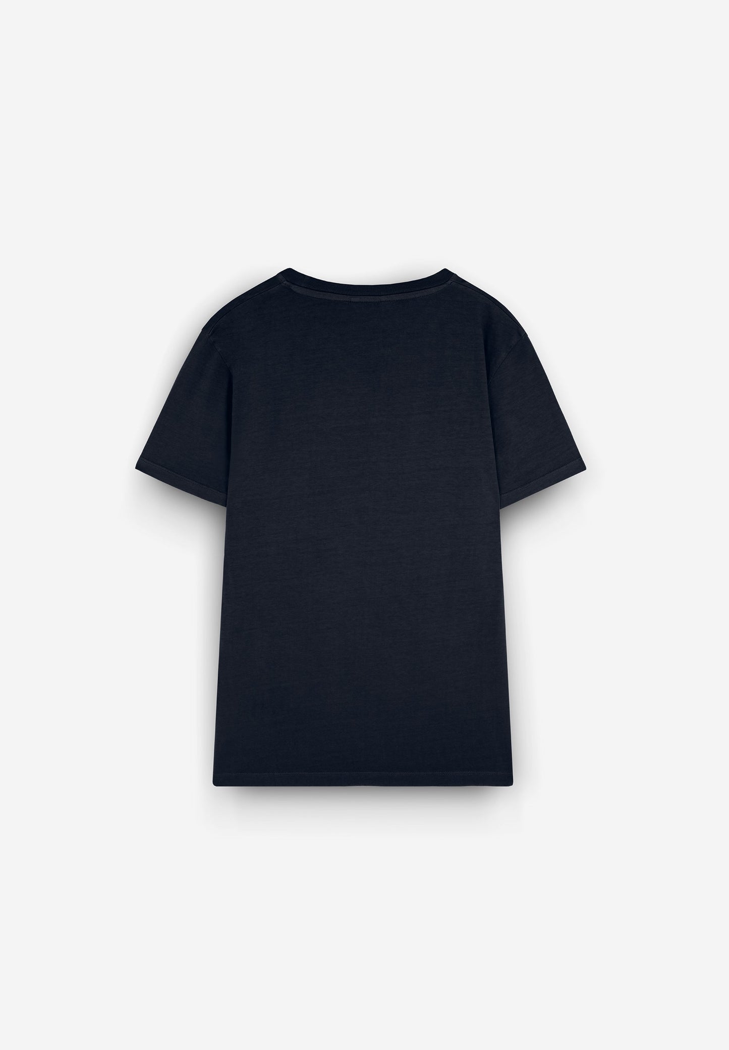 CAMISETA LAVADA CALAVERA BORDADA