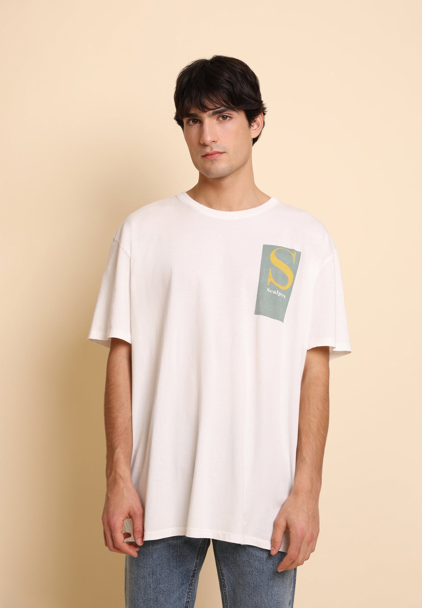 CAMISETA  OVERSIZE PRINT LETRA