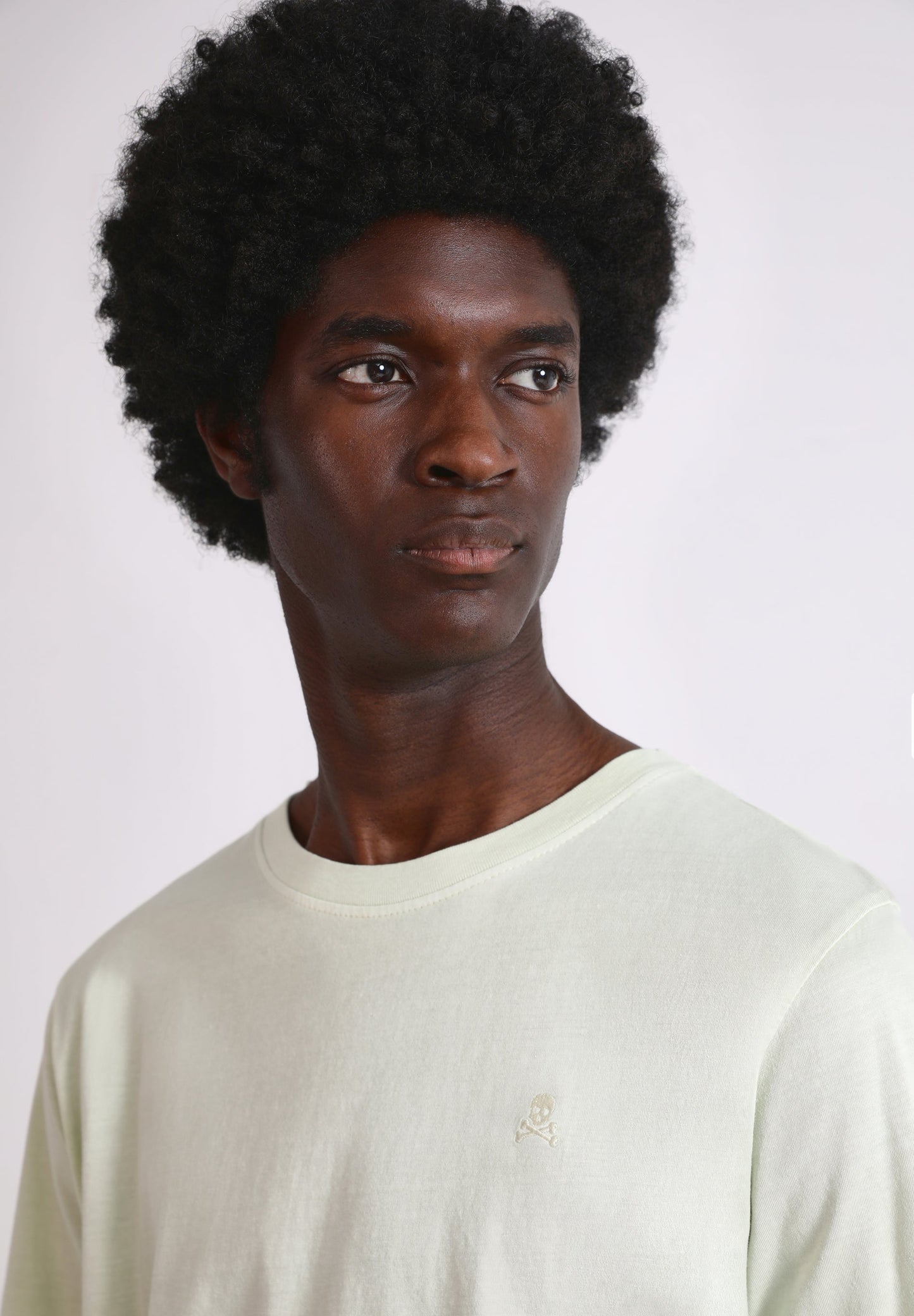 CAMISETA BÁSICA CALAVERA