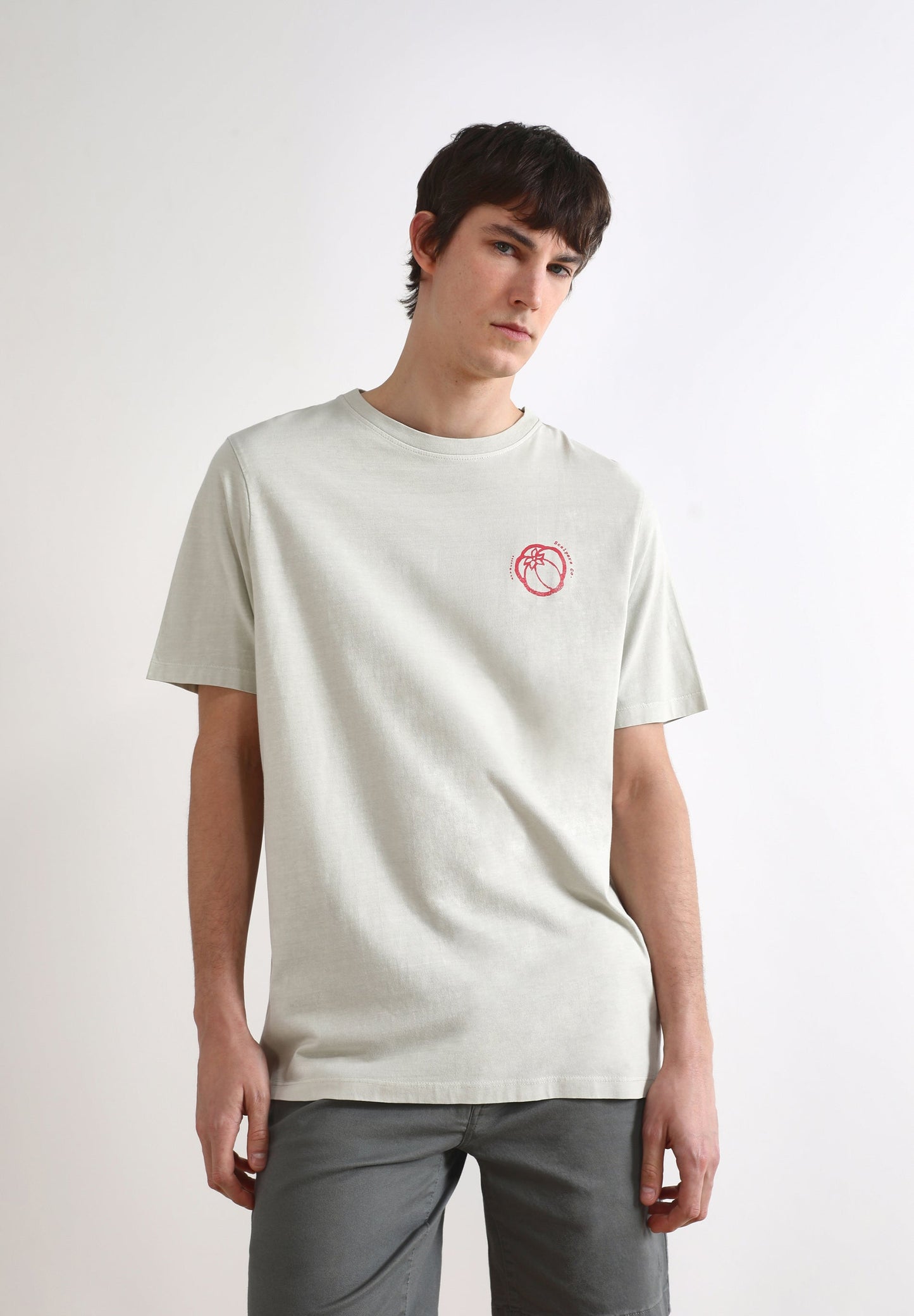 CAMISETA PRINT POMODORO