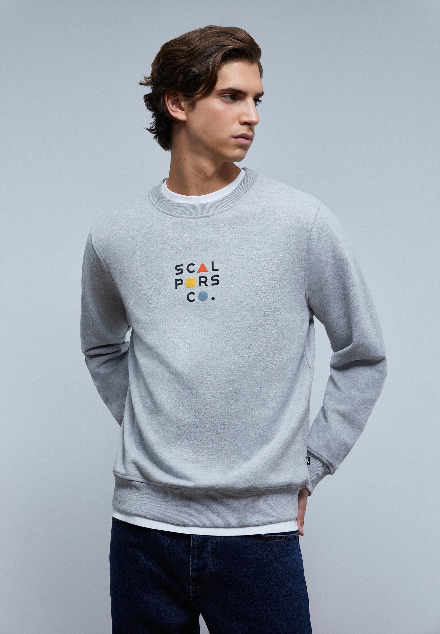 BUZO LOGO FRONTAL FLOCADO