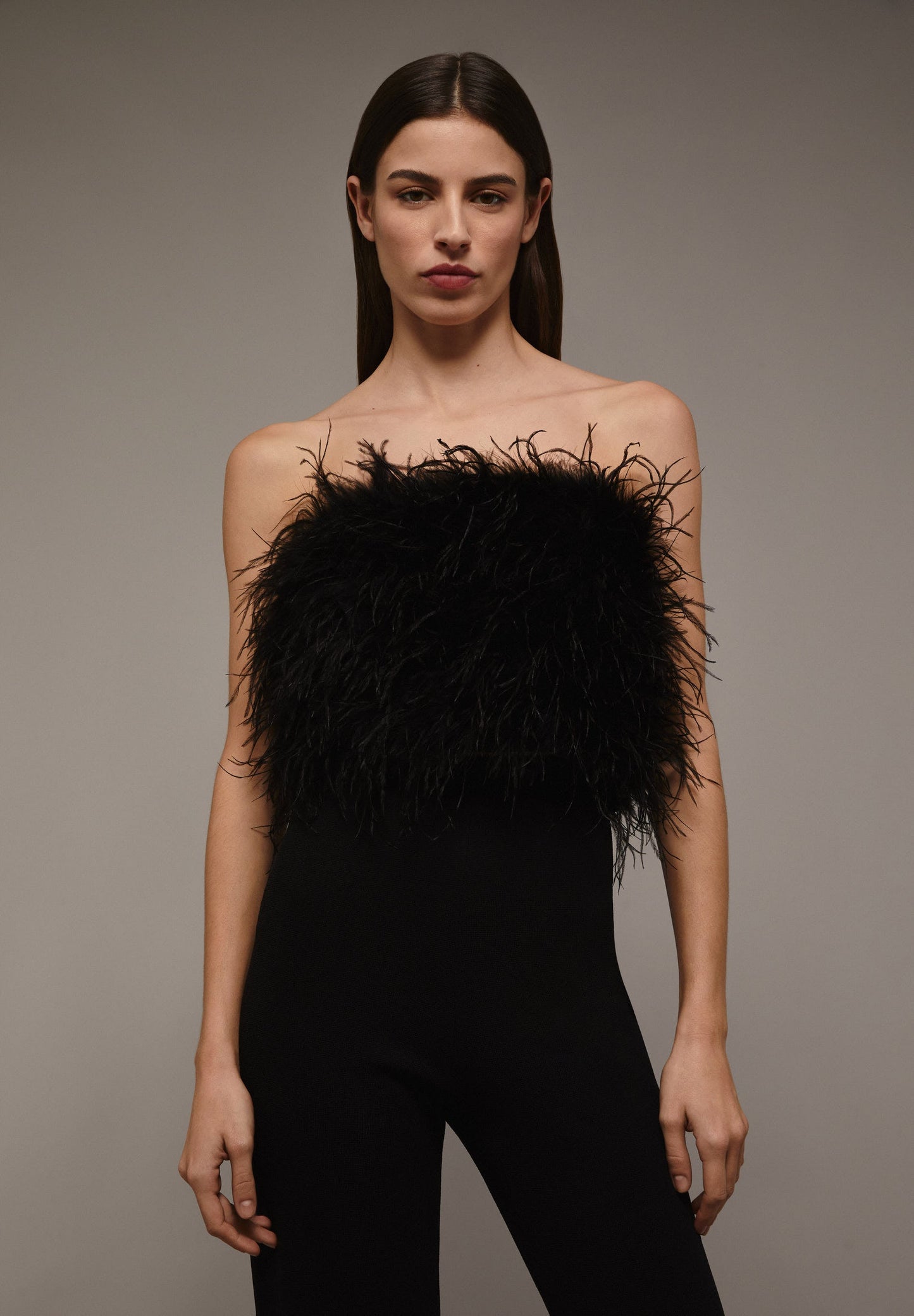 TOP PLUMAS