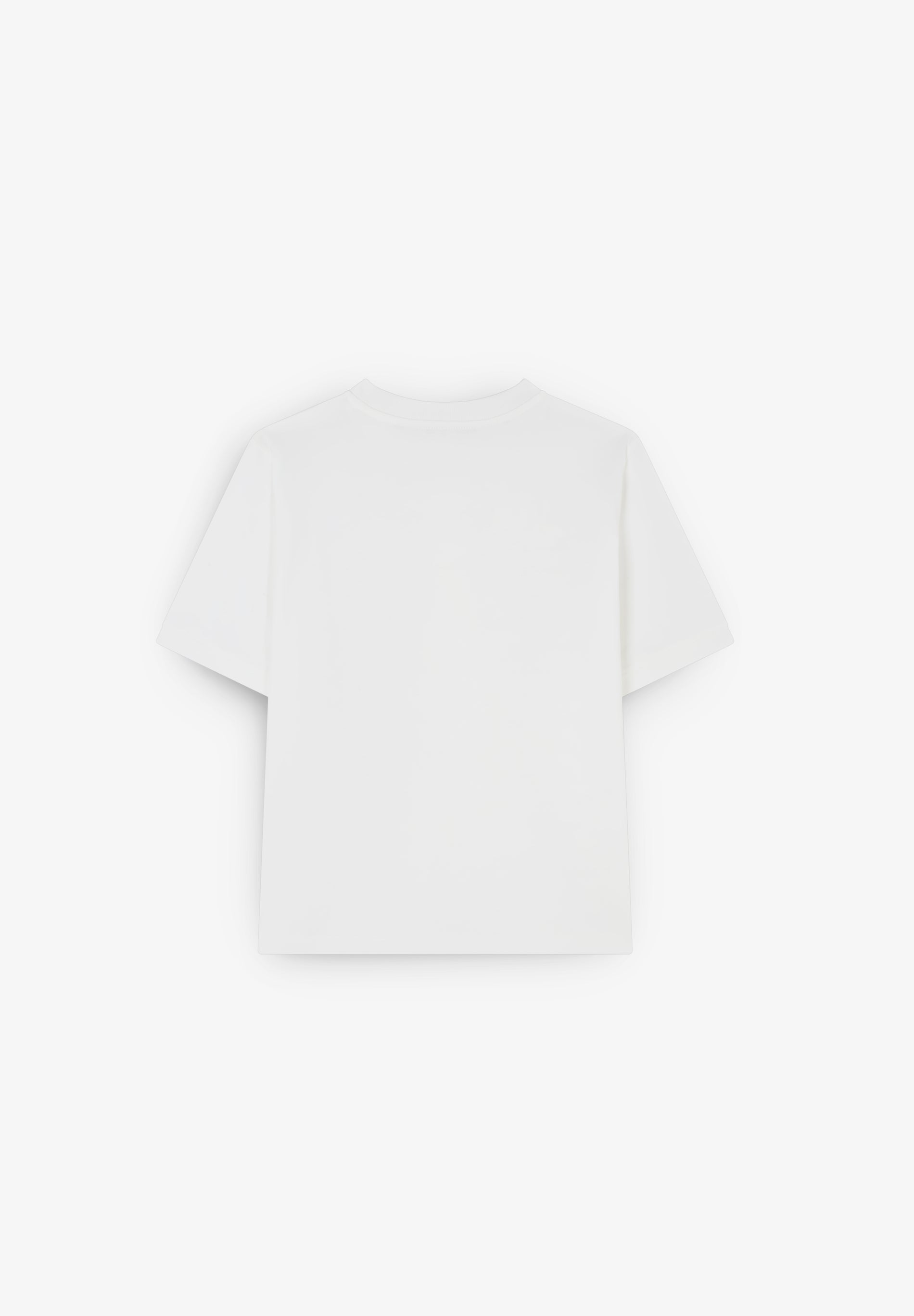 CAMISETA PRINT BRANDING